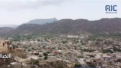 أبناء الضالع يطالبون بمحاسبة مرتكبي مجزرة سناح وتقديمهم للعدالة