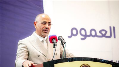 الرئيس الزُّبيدي: السبيل الوحيد للسلام هو العودة لوضع الدولتين ما قبل 90