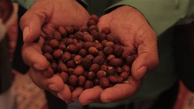 المعرض الوطني للبُن يختتم اليوم فعالياته بالعاصمة عدن