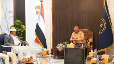 الرئيس الزُبيدي يدين الجرائم الممنهجة التي ترتكبها المليشيات الحوثية ضد أبناء تهامة