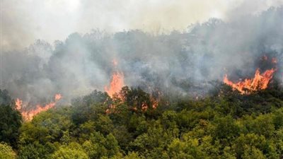 سجلت 40 درجة.. الحرارة تجتاح أوروبا وتتسبب بحرائق ونفوق ماشية