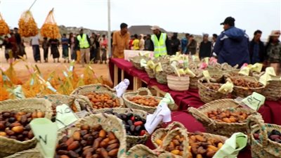 مهرجان الأمير التراثي ينظم مسابقة منتجات النخيل بسقطرى 