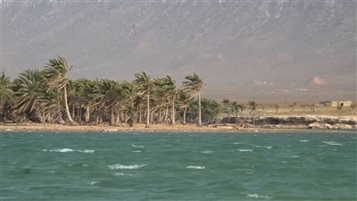 رياح موسمية بسقطرى تعيق وصول الغذاء للأرخبيل 