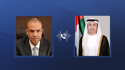وزيرا خارجية الإمارات ومصر يبحثان العلاقات الثنائية وقضايا المنطقة