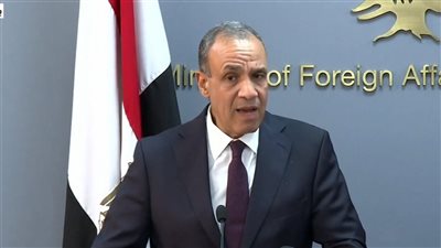 وزير الخارجية المصري: ندين أي مساس بسيادة لبنان 