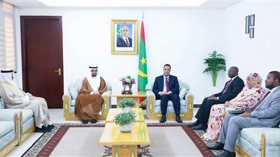 الإمارات وموريتانيا تبحث تعزيز التعاون في الشؤون الإسلامية