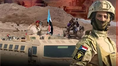 جيشنا الجنوبي حامي أرضنا.. فيديوجرافيك 