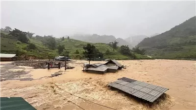 فيتنام.. ارتفاع ضحايا الإعصار 