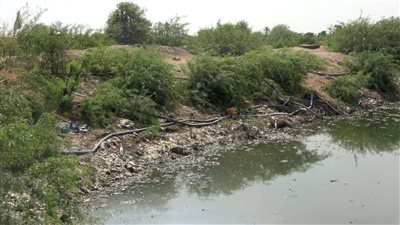 الري بمياه الصرف الصحي للأراضي الزراعية بلحج.. ظاهرة خطيرة تهدد الأرض والإنسان 