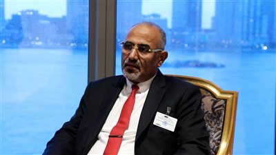 نجاح سياسي جديد.. الرئيس الزُبيدي يطرح قضية الجنوب أمام مجلس الأمن الدولي 