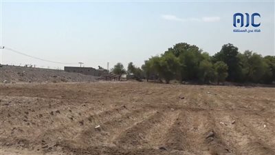 لعدم وجود قنوات للري.. أكثر من 80 فدانا في تُبن لحج محرومة من السيول 