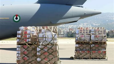 الإمارات تؤكد للبنان وقوفها إلى جانب شعبه