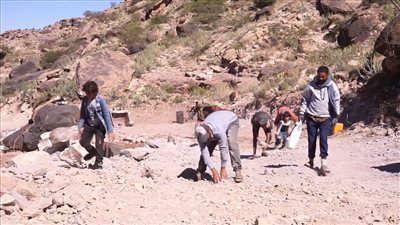 استجابة لنداء الحاجة.. البدء بشق طريق يربط قرى جبل حرير بمدينة الضالع 