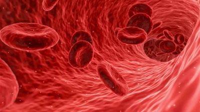 كيفية معرفة الإصابة بفقر الدم.. الأعراض والتشخيص المبكر