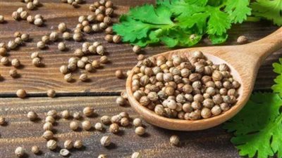 كنز الكزبرة الجافة.. فوائد صحية واستخدامات متنوعة