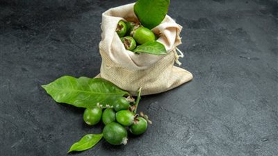 القهوة الخضراء كنز صحي يحميك من أخطر الأمراض