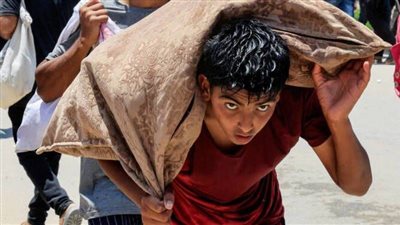 الأمم المتحدة: مقتل 798 شخصا أثناء تلقي المساعدات في غزة