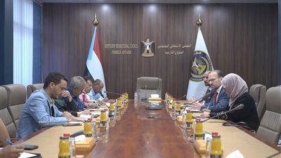 الهيئة الاقتصادية والخدمية تناقش مع كبير المستشارين الاقتصاديين للأمم المتحدة تداعيات الانهيار الاقتصادي