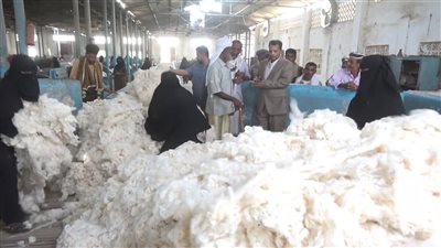 محافظ أبين يتفقد محلج الكود ويؤكد دعم مزارعي القطن