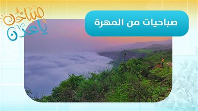 صباحك ياعدن | تابعوا آخر مستجدات محافظة #المهرة مع مراسلنا عماد محمد