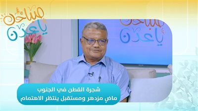 صباحك ياعدن | شجرة القطن في الجنوب.. ماضٍ مزدهر ومستقبل ينتظر الاهتمام