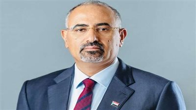 الرئيس الزُبيدي يطمئن على صحة الدكتور صدام عبدالله بعد تعرضه لحادث مروري