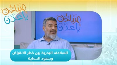 صباحك ياعدن | السلاحف البحرية بين خطر الانقراض وجهود الحماية