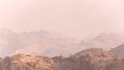 القوات المسلحة الجنوبية في جبهة حمالة (كرش) تكسر هجوماً لمليشيا الحوثي 