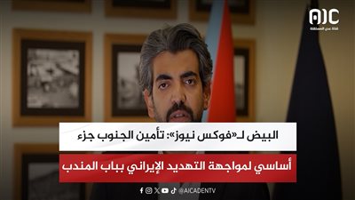 البيض لـ«فوكس نيوز»: تأمين الجنوب جزء أساسي لمواجهة التهديد الإيراني بباب المندب