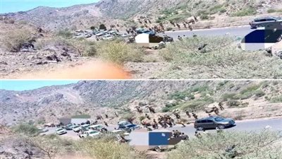 غضب شعبي وتوتر أمني في الضالع عقب زيارة استفزازية لوزير الدفاع العقيلي