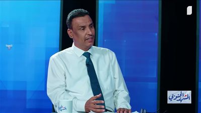 أ.د/ محمد بلعيد: إبعاد الانتقالي عن المشهد لم يقدم بديلا قادرا على تحقيق الاستقرار