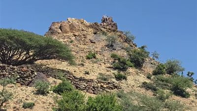 القوات الجنوبية وقبائل الصبيحة تحكم سيطرتها على جبل البازلة الاستراتيجي