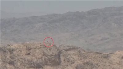 القوات المسلحة الجنوبية تستهدف تعزيزات حوثية في جبهة كرش الحدودية غربي لحج 
